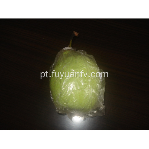 Qualidade Padrão de Exportação de Fresh Ya Pear